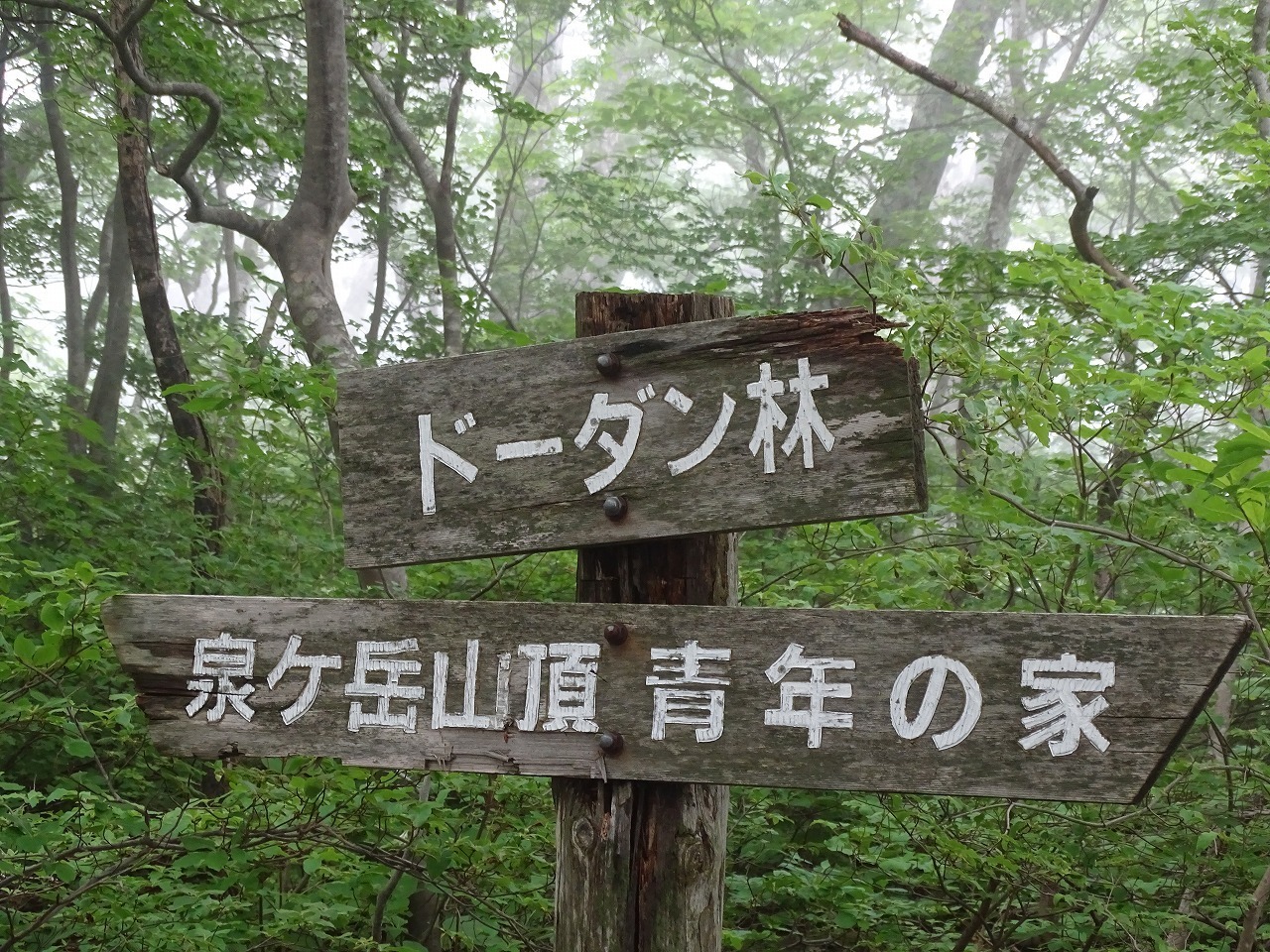 泉ヶ岳 サラサドーダン他 日々 思うこと 今 生かされているということ